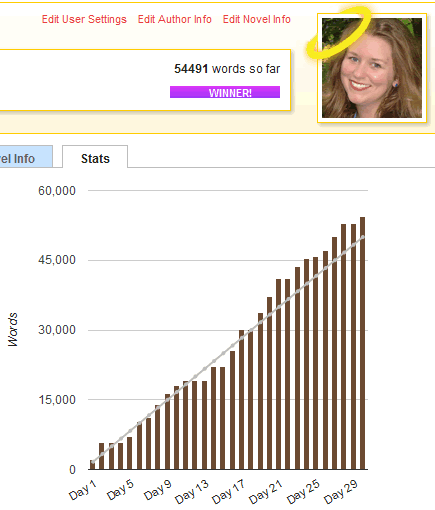nanowrimo stats 2011